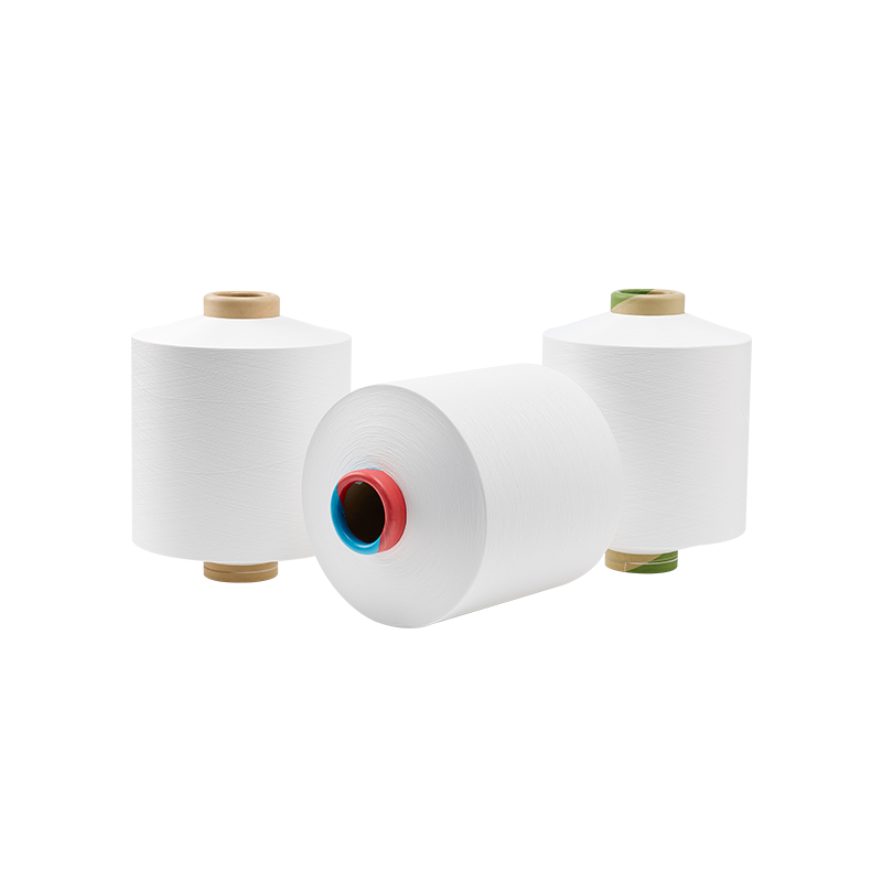 Sợi nylon 6 ACY: Thông số kỹ thuật, ứng dụng và hướng dẫn lựa chọn nhà cung cấp